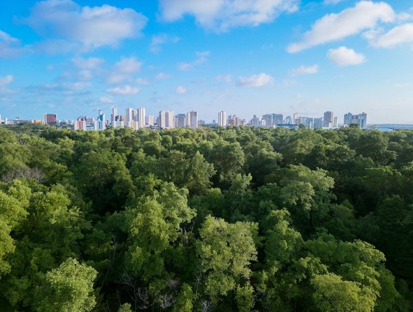 L'économie bleue : fusionner business et préservation des océans pour un avenir durable