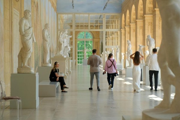 Assurance animaux 2025 : tout ce qu'il faut savoir pour bien choisir