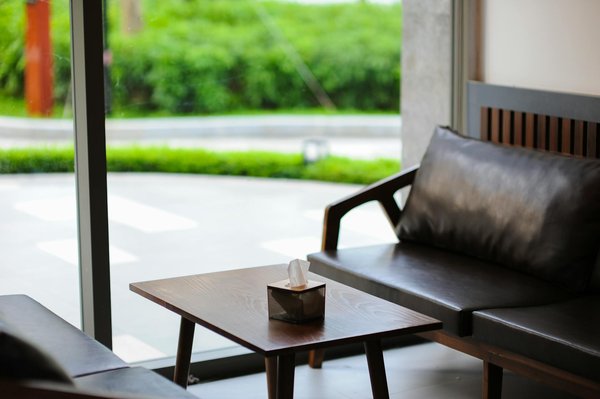 Le rôle du pape : guide spirituel et chef d'État